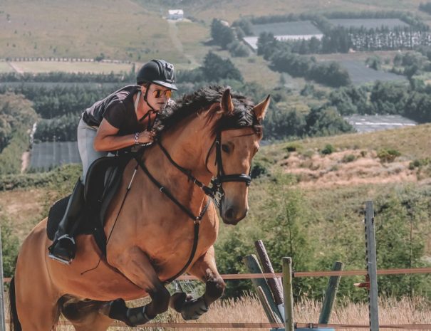 hemel-en-aarde-farm-gaia-1