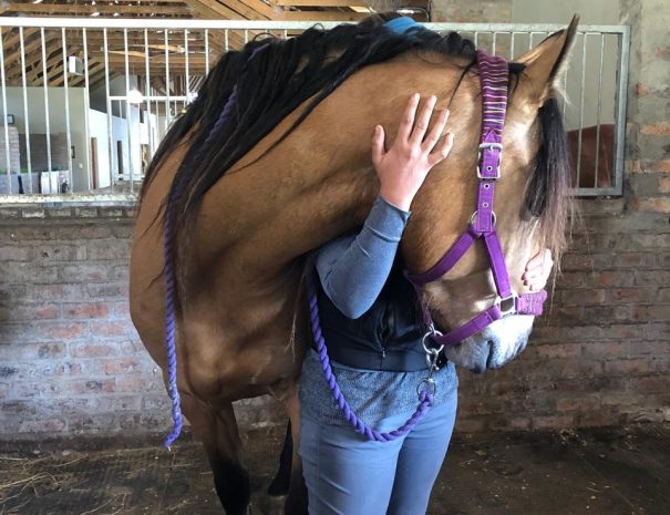 hemel-en-aarde-farm-gaia-3