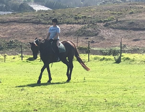hemel-en-aarde-farm-windy-1