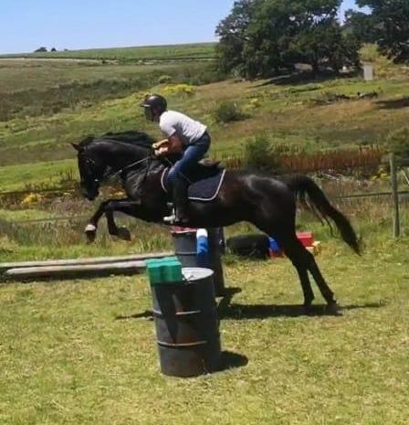 hemel-en-aarde-farm-windy