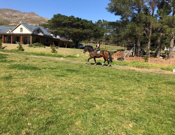 hemel-en-aarde-farm-zwoel-1