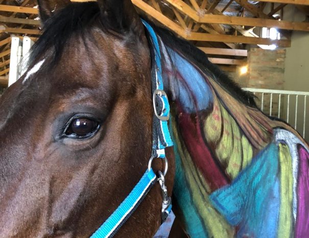 hemel-en-aarde-farm-zwoel-2